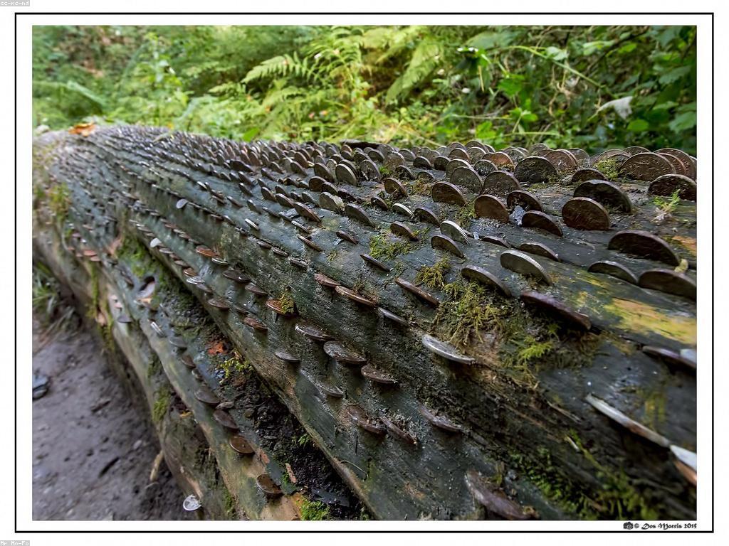 សំណាង និង រង្វាន់: គន្លឹះសម្រាប់ជោគជ័យ